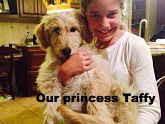 taf